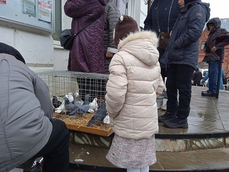 ������ ����� ������ ����� �������� ������������