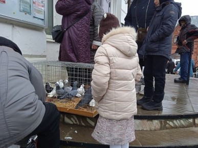 ������ ����� ������ ����� �������� ������������