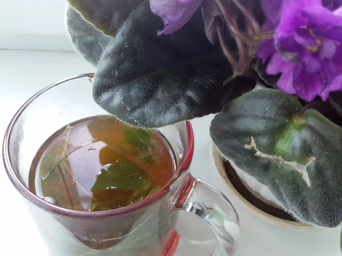 Ароматный лесной чай на зиму: секреты ферментации и сушки