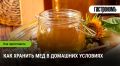 Мед — лучший друг здоровья