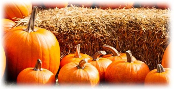 Как правильно хранить тыкву: советы и секреты