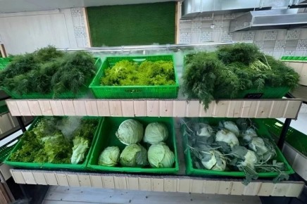 ����������: ���� ��� �������� ��� ����� ����� �����?