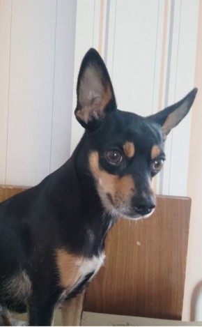 ������������ ������� ���-�������: ��� ������ ���� ��������� ������ �����