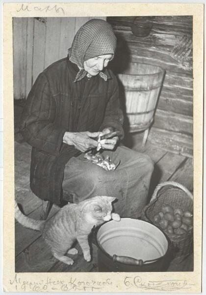 � ���� �� ���������� ��������: ������� ���������� ������