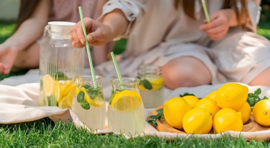 Лимонад: секреты популярного напитка, его преимущества и оригинальные рецепты