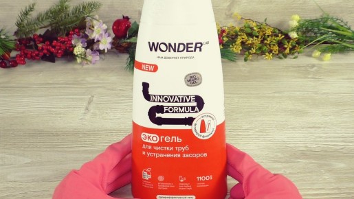 ��� ����� ���������� �� �������: ��������� ����������� � �������� �� WONDER LAB