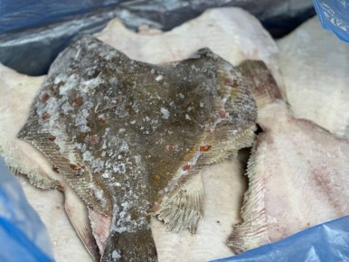 ������� ������������: ������� �������� �� ����� �����