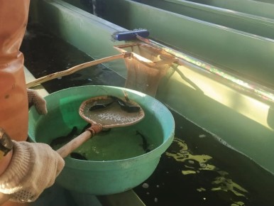 ��������� � ����������: ���� ������������ � �����