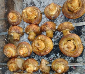 ������ ���������� �� �������: ��������� ������ ��� ������� �������