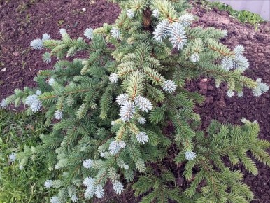 ��������� �������: ����� ����� ���������� �������� ������