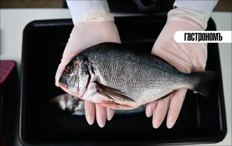 ��� ����������, ��� ���� �����������