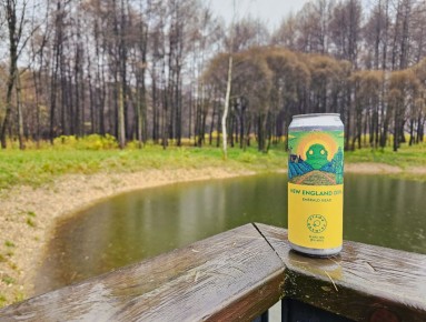 ����� ���� �� Stamm: � ������� ���������� NEDIPA � Emerald Head