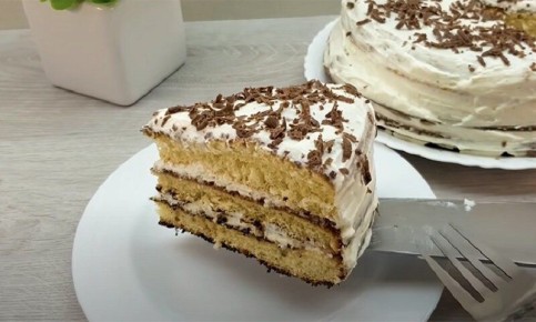 ������ ���� �� ��������: ������ � ������