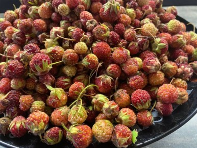 ����� ��������� ���������: ������ ��������� ���� � ������ �������