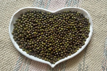 ���� ������� ������ �� ����� � ������������ ������� � ��� �������� ����