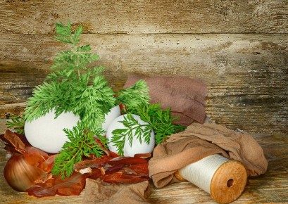 ��� ������������ ������ ���������� �������� � ����: ��������� ������