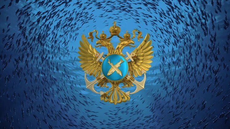 Россия увеличивает квоту на вылов ставриды: больше рыбы по доступным ценам