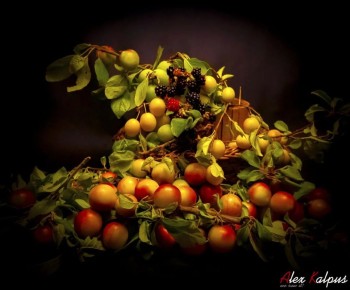 �������: ������������ ���������� ����, ������� ����� �����������