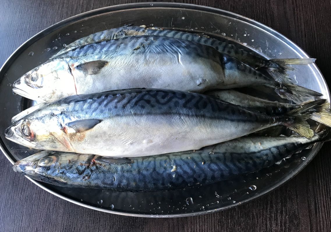 Вкусная копченая скумбрия: простой рецепт для вашего стола